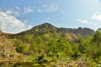 DSC_6380 (Large).JPG